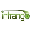 Intrango Web Design