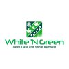 White 'N Green Inc