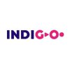 Indigo Education Group