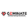 Geminate Consultancy Services 