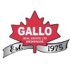 Gallo Real Estate Ltd. Brokerage