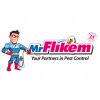 Mr. Flikem