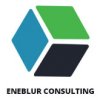 Eneblur Consulting