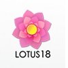 Lotus18 - Best Ecommerce Platform in India