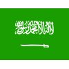 SAUDI Kingdom of Saudi Arabia Official Visa Online - Saudi Visa Online Application - سعودی عرب آفیشل ایپلیکیشن سینٹر