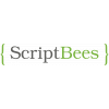 ScriptBees IT Pvt Ltd