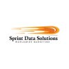 Sprint Data Solutions