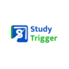 STUDY TRIGGER | CODING COURSE IN DELHI