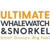 Ultimate Whale Watch & Snorkel