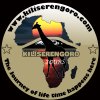 KILISERENGORO TOURS - kilimanjaro climbing Tours | Tanzania safari Tours | Zanzibar Vacation Tours