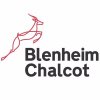 Blenheim Chalcot