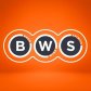 BWS Virginia logo image