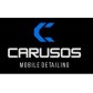 Caruso&#039;s Mobile Detailing logo image