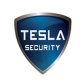 Tesla Security logo image