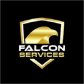 Falcon Services logo image