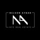 Nelson Aybar logo image
