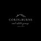 Corin + Burns Real Estate Group logo image