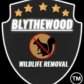 Blythewood Wildlife Removal logo image