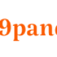 99Panditji logo image