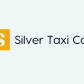 Silver Taxi Cab logo image