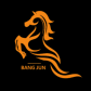 Hebei Bangjun Metal Products Co., Ltd. logo image