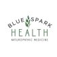 Blue Spark Health logo image