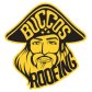 Buccos Roofing logo image