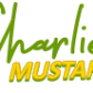 Charlie&#039;s Mustard. LLC logo image