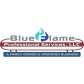 Blue Flame Professional Services logo image