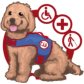 The Service Dog Team Academy logo image