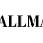 Luke Allman CPA logo image