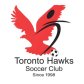 Toronto Hawks Soccer Club logo image