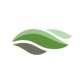 Bellevue Landscaping logo image