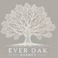 The Everoak Agency logo image