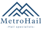 Metro Hail logo image