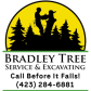 Bradley Tree Service &amp; Excavating logo image