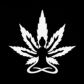 Chronic Guru Dispensary &amp; Farm - Apopka logo image