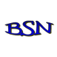 BSN Construction, Inc logo image