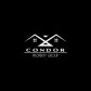 Condor Property Group logo image