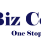 BIZ CONTROL logo image