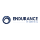 Endurance IT Services logo image