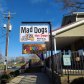 Mad Dogs Hot Dogs &amp; Sugar Shack logo image