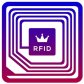 RFID Masters logo image