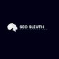 SEO Sleuth logo image