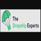 The Dropship Experts logo image
