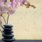 Mindful Body Balance logo image