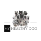 My Healthy Dog logo image