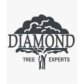 Diamond Tree Experts logo image