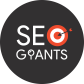 SEO Giants - Best SEO &amp; Digital Marketing Company logo image