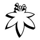 The Flowery Upper West Side logo image